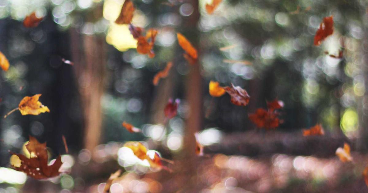 Renforcer sa résilience avec la psychologie positive